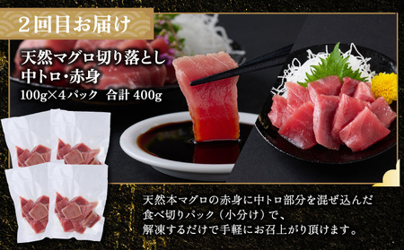 【定期便/計4回】海鮮【惣菜海鮮】FN-Limited-PR