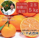 【ふるさと納税】有田みかん 5kg 2S サイズ 秀品 小玉 早生みかん 晩生みかん 発送時期で変わる 有田 みかん 温州みかん フルーツ 果物 果実 柑橘 甘い コク やみつき 国産 食品 食べ物 農家直送 お取り寄せ 和歌山県 湯浅町 平武農園 送料無料