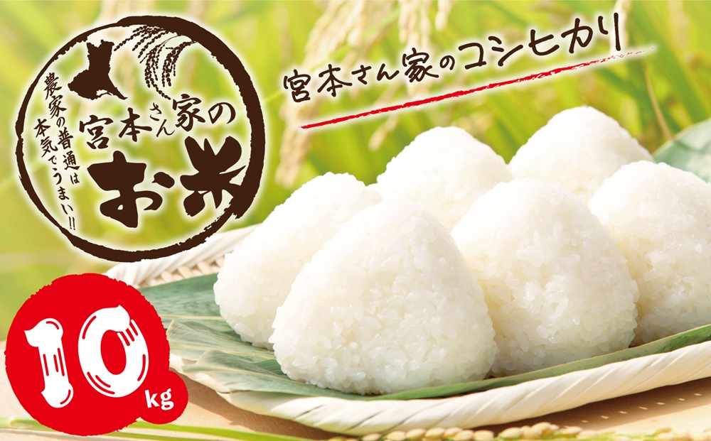 新米 【令和7年産】茨城県稲敷市産 宮本さん家のこしひかり 10kg(5kg×2袋)｜米 おこめ コシヒカリ 精米 農家直送 直送 茨城県 [1652]