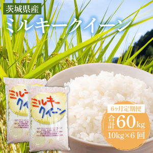【6ヶ月定期便】茨城県産ミルキークイーン 10kg (5kg×2袋)  (KY-9)