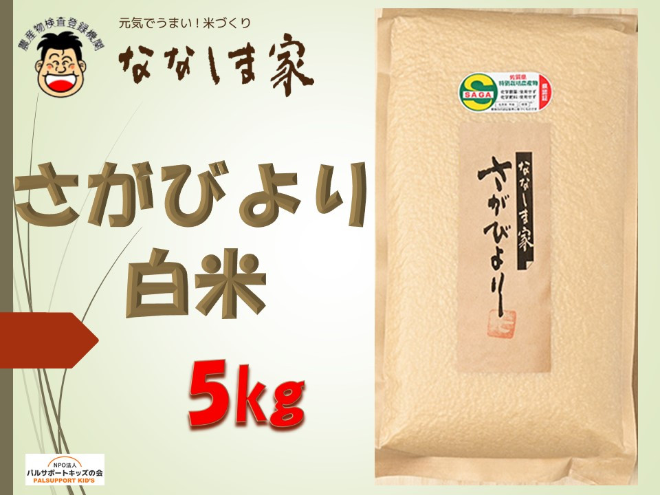 
【佐賀県産米】ななしま家 さがびより5kg
