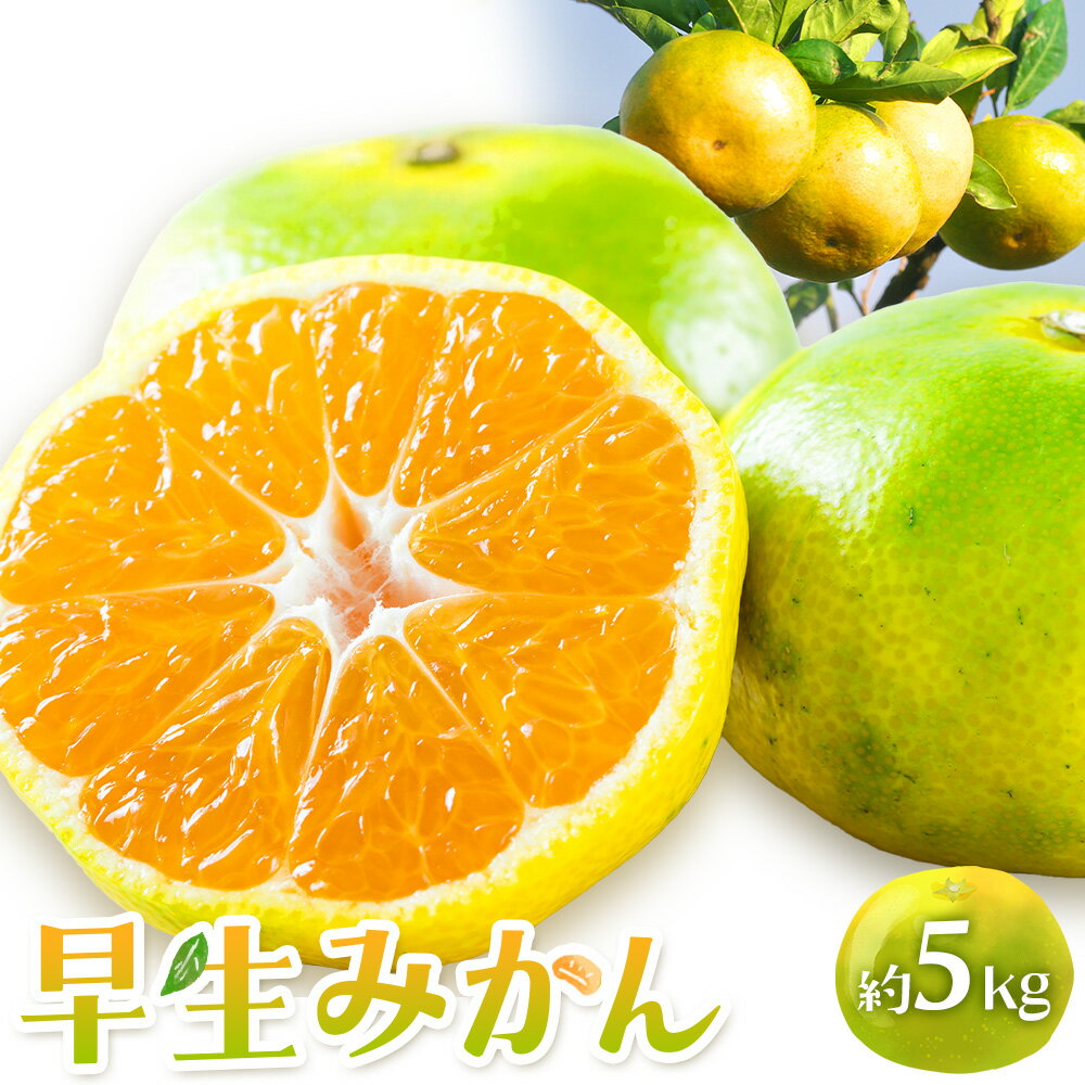 【ふるさと納税】 早生みかん 約5kg 農園誉《10月上旬-11月下旬頃出荷》 和歌山県 日高川町 早生 みかん ミカン フルーツ 果物 柑橘
