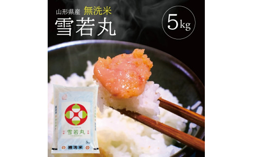 令和7年産【無洗米】雪若丸　5kg×1袋 TO SA2968