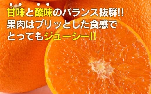 数量限定 津之輝 計2.5kg以上 果物 フルーツ くだもの みかん 柑橘 先行予約 2025年 期間限定 デザート おやつ ジュース フルーツサンド おすすめ 国産 食品 ギフト 贈り物 贈答 ご褒