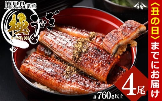 【丑の日までに配送】楠田の極うなぎ 蒲焼き 190g以上×4尾(計760g以上) c6-083-us