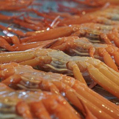 ふるさと納税 射水市 【富山県新湊産】 ボイル紅ズワイ蟹姿(約600g)×2杯 |  | 03