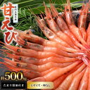 【ふるさと納税】新鮮美味！ 甘エビ (船凍甘エビ 大サイズ) 約500g おいしいたまり醤油付【えび エビ 海老 甘えび 海鮮 お造り 刺身 おせち 海鮮丼 生食 急速冷凍 福井】 [m21-a036]