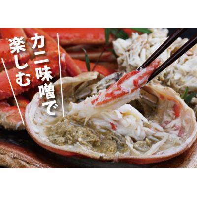 ふるさと納税 鳥取市 鳥取賀露港 浜茹で松葉がに (かねまさ・浜下商店) |  | 02