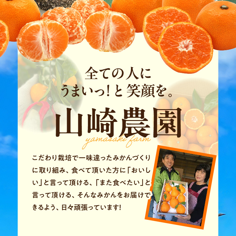 YA1005_完熟 アルギット みかん 10kg M～L サイズ
