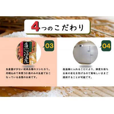 ふるさと納税 十日町市 【先行受付11月上旬発送】　従来品種　数量限定　魚沼産コシヒカリ　万寿　精米　5kg　令和7年度米 |  | 02