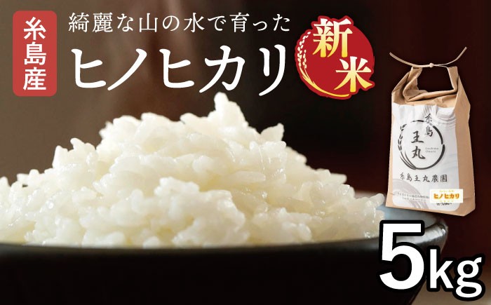 
            【令和7年産新米】糸島産 ヒノヒカリ 5kg 【2025年10月中旬以降順次発送】糸島市 / 糸島王丸農園　( 谷口汰一 )【いとしまごころ】 [AAZ010]
          