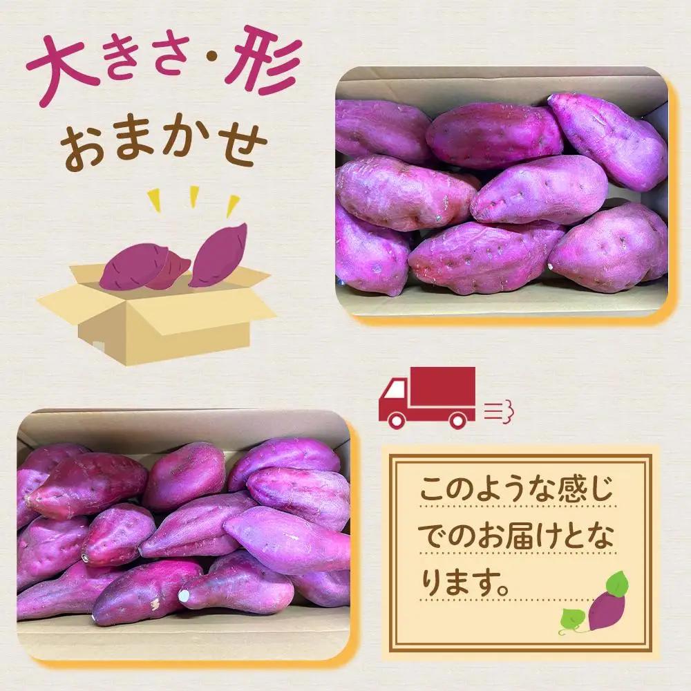 訳あり さつまいも なると金時 甘姫  (約5kg）｜ さつまいも 新芋 7月下旬から順次発送