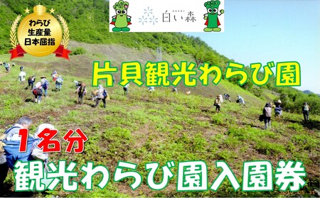 片貝観光わらび園入園券（1名様分）