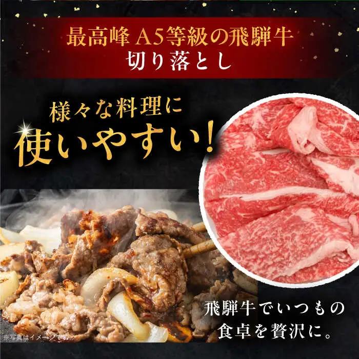 【6回定期便】 飛騨牛 切り落とし肉 A5ランク 500g×2パック (1kg) / 恵那市 / 岩島屋 [AUAJ034]