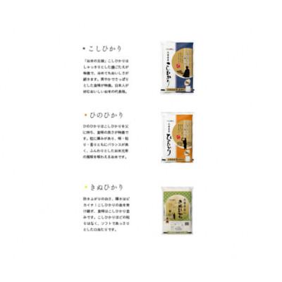 ふるさと納税 小野市 【令和7年産】兵庫県産コシヒカリ、ヒノヒカリ、キヌヒカリ3点セット 15kg(玄米) |  | 01