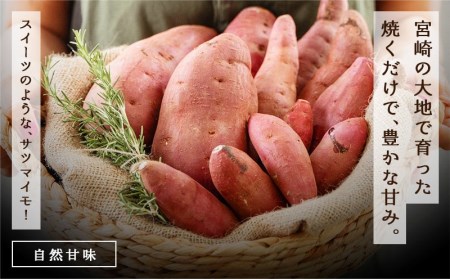 都城産 長期熟成紅はるか 5kg_AA-I202_(都城市) 都城産さつまいも 熟成紅はるか 5kg 長期熟成 スイーツ