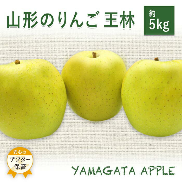【ふるさと納税】＼アフター保証対象品／ 山形 りんご 約 5kg 王林 甘み と 香り が強く サクッと 軽い 食感 で 食べやすい 青りんご 【2025年11月発送】 H079(R7)