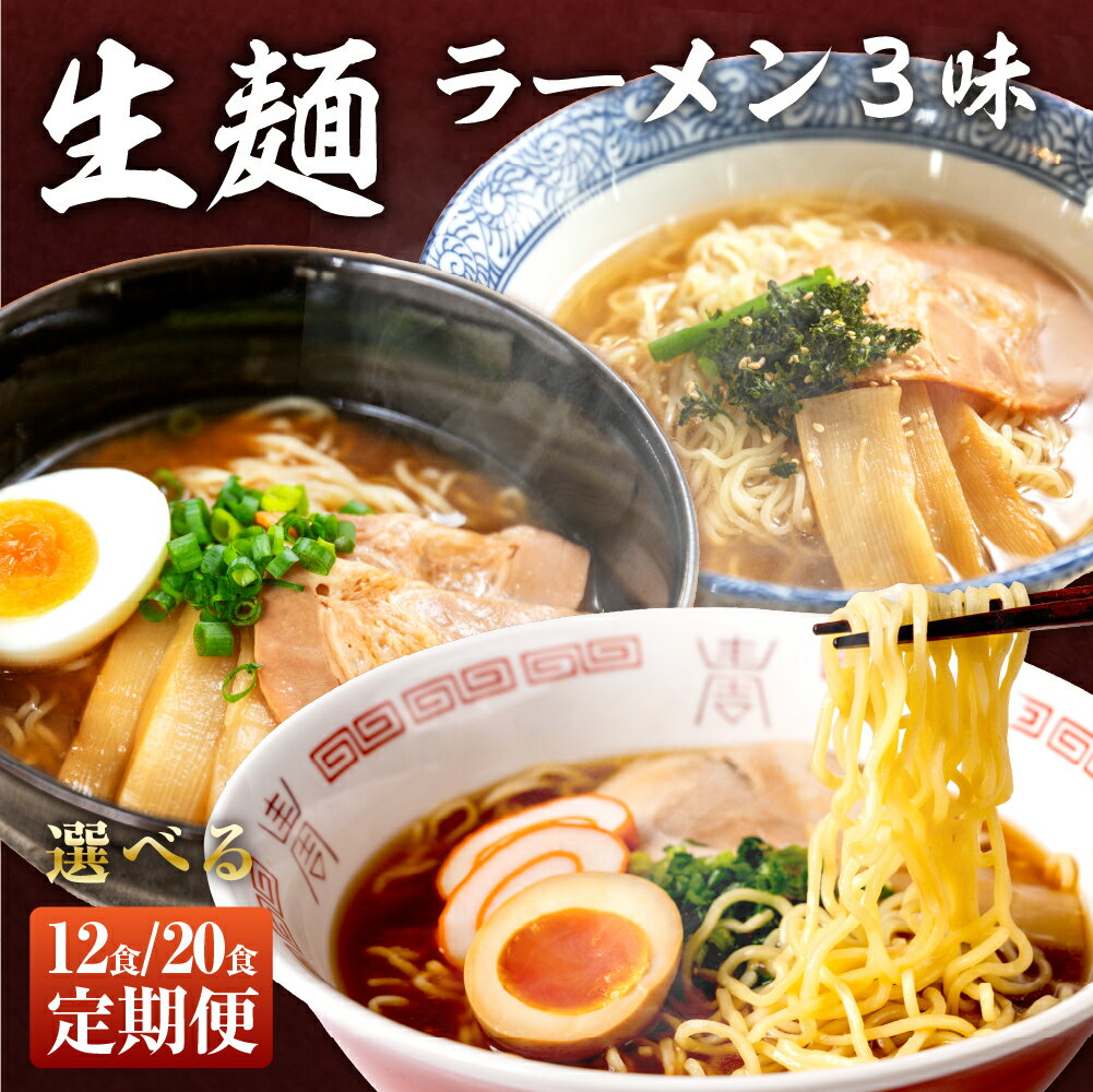 【ふるさと納税】飛騨高山らーめん3味セット 12食（醤油 2食×2袋、味噌 2食×2袋、塩 2食×2袋）訳あり 簡易包装 ラーメン 丸中製麺所 ラーメン 高山ラーメン ご当地ラーメン 常温 お試し しお 食べ比べ 下呂市 しょうゆ みそ セット 訳アリ わけあり 自宅用 5000円