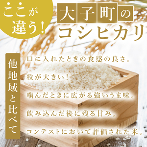 【2ヶ月定期便】大子産米 コシヒカリ（精米）2kg×2回|茨城県 大子町 こしひかり 白米 新米 令和7年産 食味値 コンテスト(AV037)