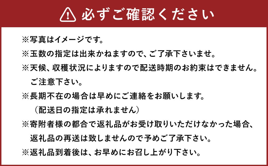 幸水梨 約3kg 5～8玉【2025年7月上旬～8月上旬発送】 ナシ 梨 果物 フルーツ 福岡県産