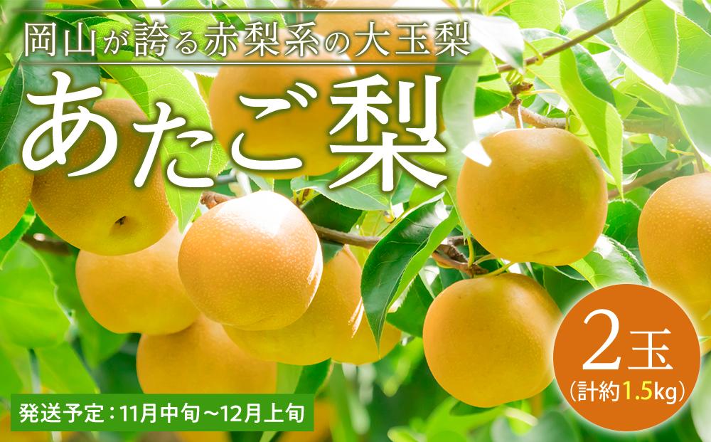 梨 2025年 先行予約 あたご梨 2玉（1玉約750g）合計約1.5kg なし ナシ 岡山県産 国産 フルーツ 果物 ギフト