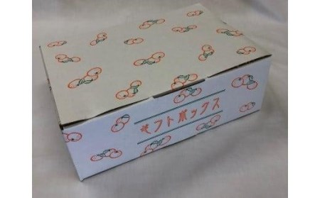 【 柑橘寒づくりゼリー】いよかん ゼリー 12個 セット おやつ お子様 子ども【JZE002_x】