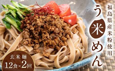 【2か月定期便】グルテンフリー 米粉で作った麺「う米めん」玄米タイプ12食入り×2回 F21T-457