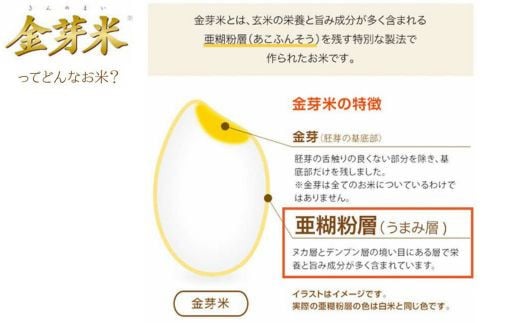 金芽米とは・・