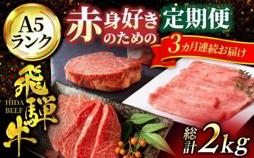 【3回定期便】赤身 好きのための 飛騨牛 A5ランク コース約4人前【有限会社マルゴー】和牛 霜降り 焼肉 モモ肉 ヒレ肉 [MBE026]