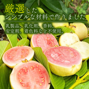 有機グアバ農園のなめらかジェラート 計12個 | デザート スイーツ セット お菓子 夏 詰め合わせ ビタミンC おかし 美容 フルーツ グアバ 食品 人気 冷凍 カップ アイス おすすめ 高知県 南