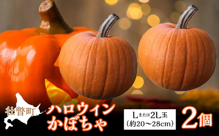 ＜2026年10月初旬よりお届け＞ハロウィンかぼちゃ Lまたは2Lサイズ玉2個 SBTL015
