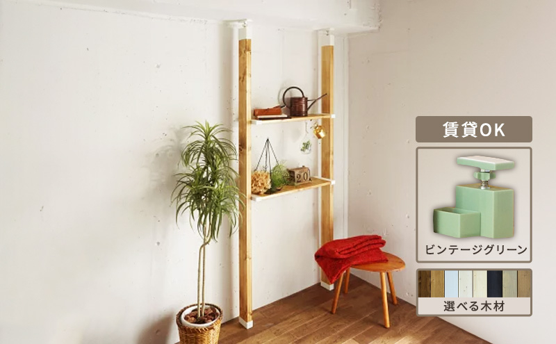 
            [№5258-0974]ワンバイエイト　LABRICO棚セットM　アジャスター：ヴィンテージグリーン　ラブリコ DIY
          