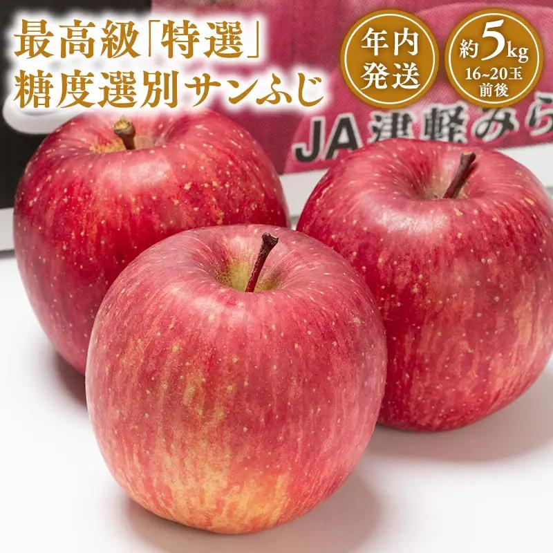 12月発送 特選 糖度選別サンふじ 約5kg 青森県平川市産[hi-0001-024]