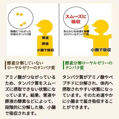 ふるさと納税 津山市 【毎月定期便】酵素分解ローヤルゼリーキング (560)全12回 |  | 03