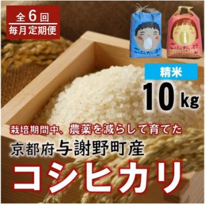ふるさと納税 与謝野町 【毎月定期便】京都丹後産コシヒカリ　農家直送精米10kg　栽培期間中農薬を減らして育てたお米全6回