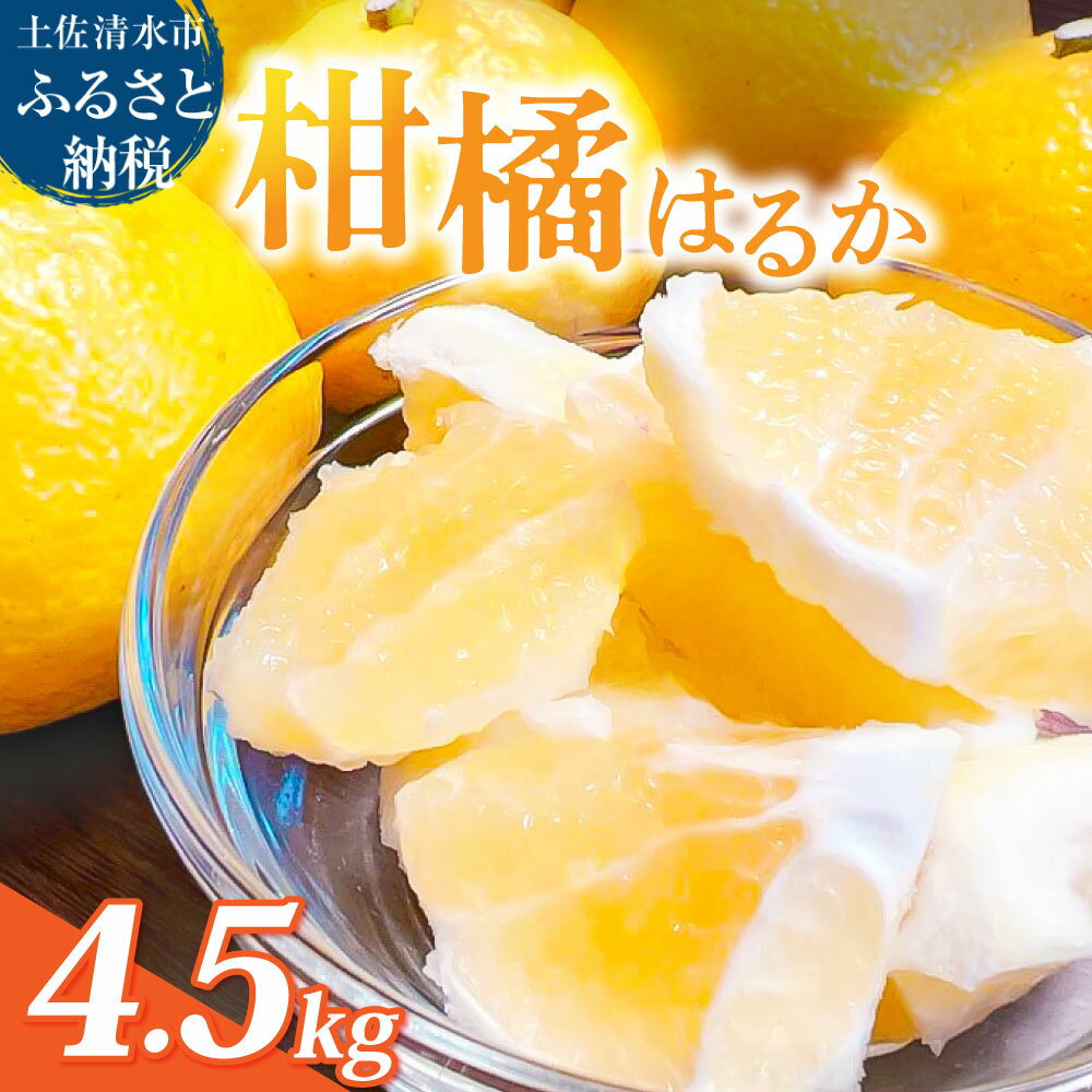 【ふるさと納税】＼令和8年1月発送／ はるか 4.5キロ 栽培期間中農薬不使用 ラクファーム 日向夏の偶発実生 みかん 蜜柑 ミカン 柑橘 かんきつ フルーツ オレンジ 果物 くだもの 果汁 甘い ジューシー 高知県 土佐清水市 送料無料 高知 18000円【R01586】