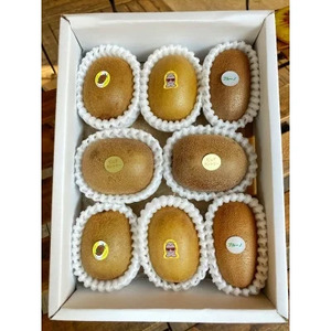 【11月~3月の期間限定】 カラフルキウイ4種8～9個セット 国産 有機栽培 6856