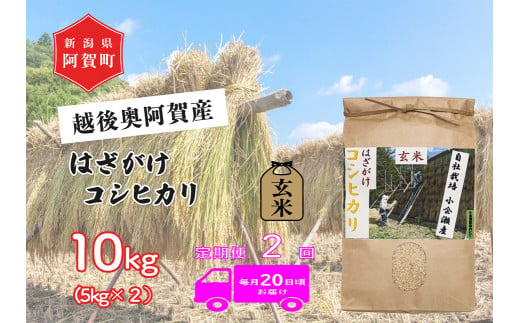 《令和6年産米》【定期便】2回　越後奥阿賀産はざがけ（天日干し）コシヒカリ　玄米10kg（5kg×2袋）