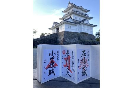 小田原城御城印・御城印帳・石垣山城御城印セット【小田原城 石垣山城 小田原御城印 朱印 一夜城Yoroizuka Farm マルシェ 太閤桐 北条氏 豊臣秀吉 日本100名城 小田原合戦 神奈川県 小田原市 御城印 御城印 御城印 御城印 御城印】