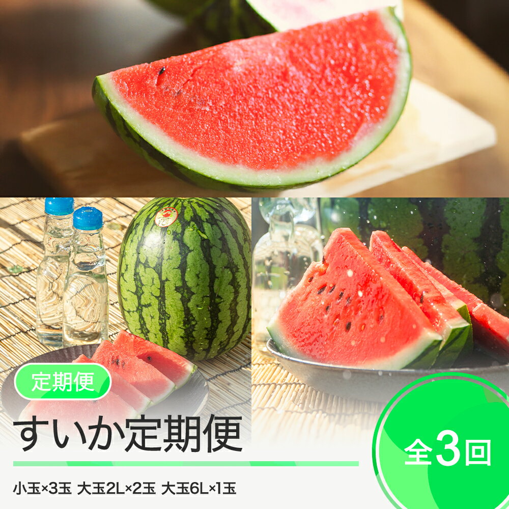 【ふるさと納税】すいか 3回 定期便 令和7年産 2025年産 尾花沢すいか 大玉すいか 小玉すいか 計6玉 山形県 大石田町 フルーツ 果物 ja-tksux3