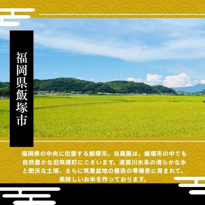 ふるさと納税 飯塚市 福岡県飯塚市産のお米(夢つくし)令和7年産　精米　5kg |  | 01