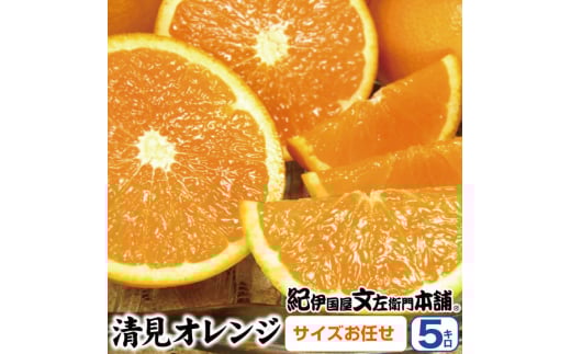 清見オレンジ約5kg/果実サイズおまかせ※2026年2月中旬～4月下旬頃発送予定　　　紀伊国屋文左衛門本舗【sutb400B】