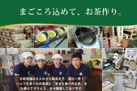 お茶 ティーバッグ 特撰 みやざき煎茶 紐付き 5袋 セット [谷岩茶舗 宮崎県 日向市 452061627] 
