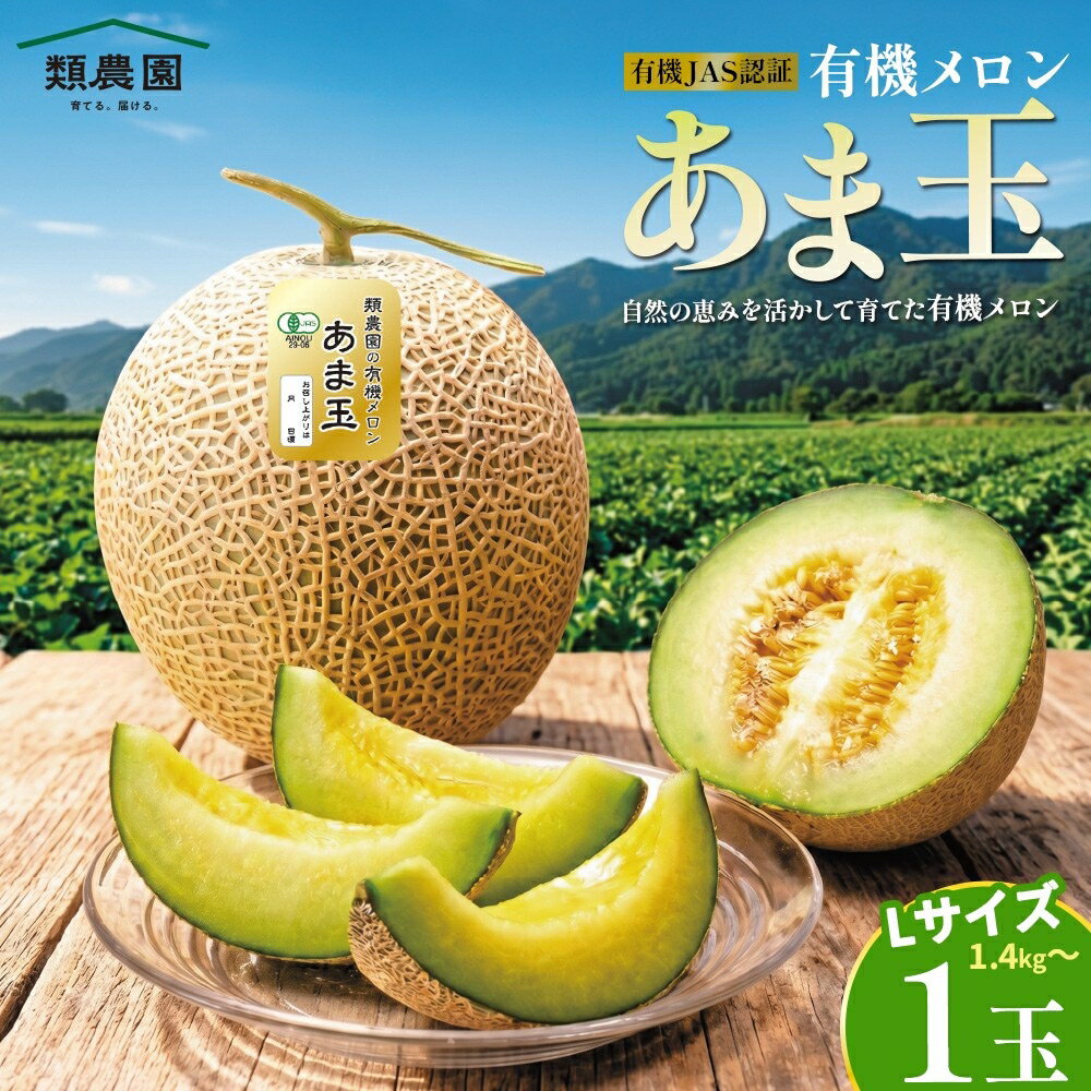 【ふるさと納税】有機メロン「あま玉」1玉 Lサイズ 1.4kg〜【期間限定】／メロン 有機 有機JAS 甘玉 あま玉 産地直送 果物 くだもの フルーツ デザート 旬 青肉 ジューシー 新鮮 果実 果汁 ご褒美 期間限定 数量限定 2026年産 贈答 ギフト 類農園 奈良県 宇陀市