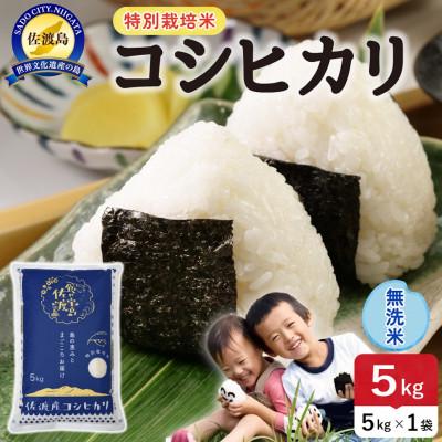 ふるさと納税 佐渡市 【新米】令和8年産 佐渡島産コシヒカリ 無洗米5kg 特別栽培米【食の宝島佐渡】