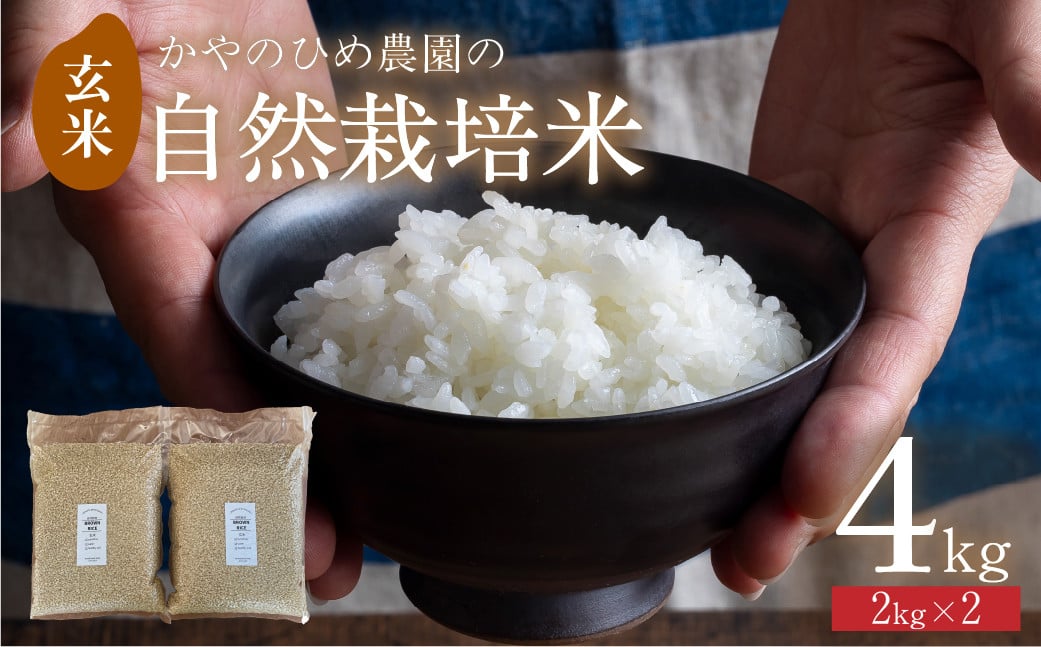 
                  【先行予約】 かやのひめ農園 自然栽培米 【令和7年産】玄米 4kg / 5kg (コシヒカリ) 米 自然栽培 自家採種 農薬不使用 愛知県 田原市
                