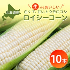 【2024年8月より発送開始】白いとうもろこしロイシーコーン　野菜ソムリエサミット金賞受賞