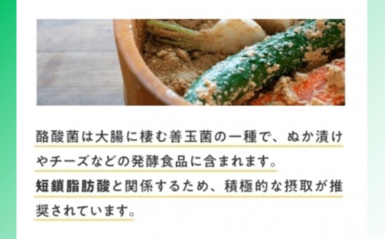 ＜定期便＞サンファイバープラス【スティック】6ｇ×30包 【2箱セット定期便12ヶ月】【発酵性食物繊維 食物繊維 シンバイオティクス 医療 介護 安心 無味無臭 グアーガム分解 四日市市】