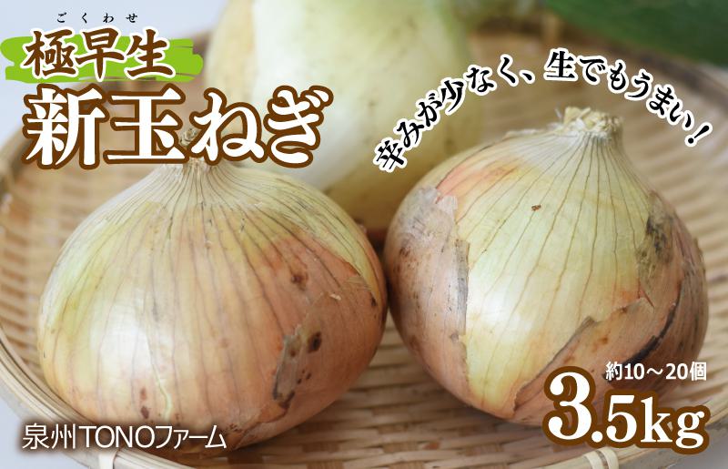 【先行予約】極早生 新たまねぎ 3.5kg【新鮮 野菜 泉佐野産 玉ねぎ 玉葱 やさい TONOファーム 数量限定】