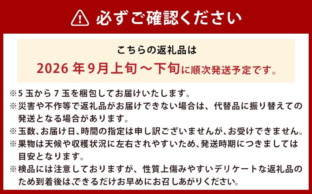 【先行予約】 梨の山茂梨園 あきづき梨 5玉から7玉（約2.5kg）【2026年9月上旬～下旬発送予定】 梨 なし ナシ 果物 くだもの フルーツ 果実 果汁 5玉 7玉 あきづき
